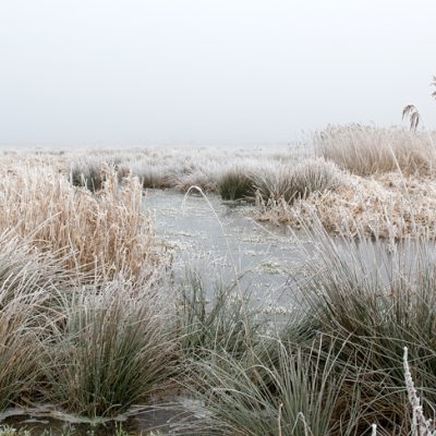 vorst - peize - de onlanden - groninger landschap - landschapsfotografie - landschapsfotograaf - Jim Ernst Fotografie