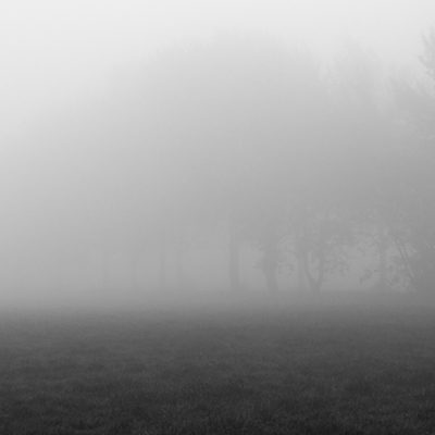 mist - wierumerschouw - groninger landschap - landschapsfotografie - landschapsfotograaf - Jim Ernst Fotografie